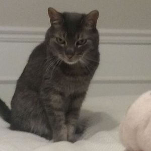 Meet your Posher, Eugenia